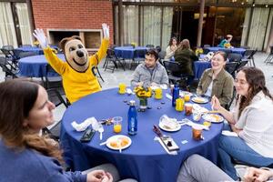 Oski the bear with hands up chatting up four postdocs sitting around table