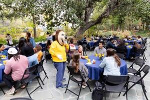 Oski the bear chatting up postdocs sitting around tables with tree in background